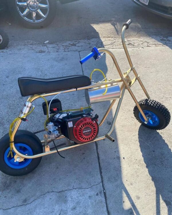 Candy Gold Stock Minibike - Image 2