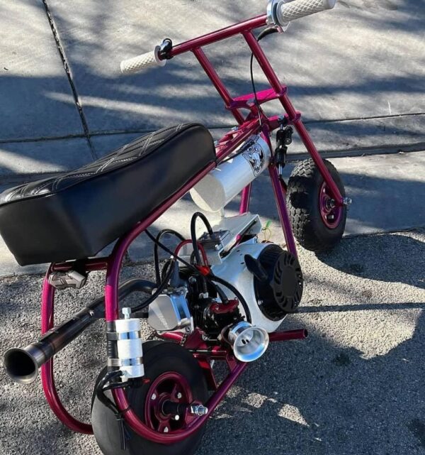 Dark Red Stock Minibike
