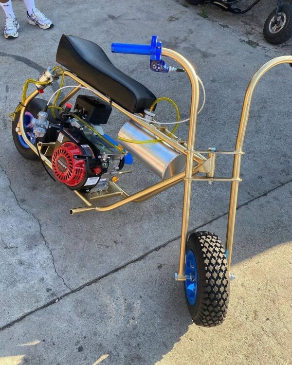 Candy Gold Stock Minibike